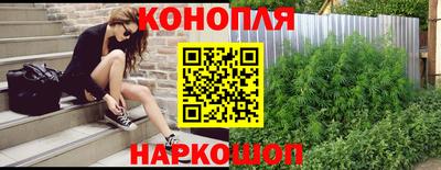 крисы Нальчик