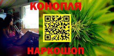 крисы Нальчик